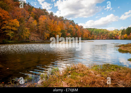 Lago Chinnabee in Talladega National Forest, Alabama, STATI UNITI D'AMERICA Foto Stock