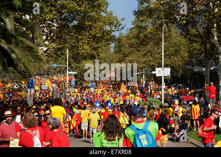 Il catalano pro rally di indipendenza, Barcelona, Spagna. Foto Stock