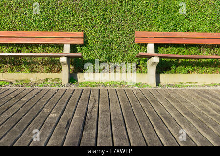 Due panche nella parte anteriore di una siepe verde Foto Stock