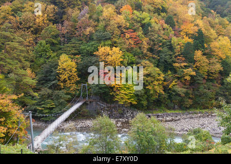 Prefettura di Nagano, Giappone Foto Stock