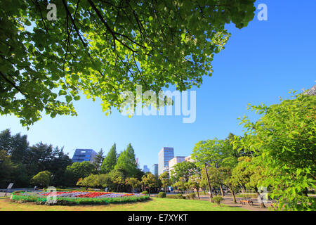 Prefettura di Miyagi, Giappone Foto Stock