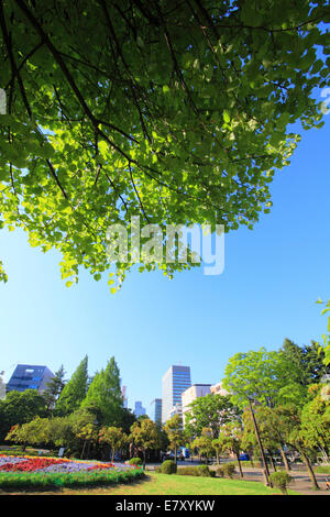 Prefettura di Miyagi, Giappone Foto Stock