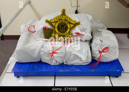 Brownsville, TX USA. 25 Settembre, 2014. Mattoni di grandi dimensioni di marijuana per un totale di 230 chili sequestrati da Cameron County undercover ufficiali in un arresto di traffico di tre immigrati stranieri in Brownsville, Texas Credito: Bob Daemmrich/Alamy Live News Foto Stock