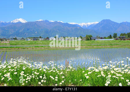 Prefettura di Nagano, Giappone Foto Stock