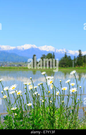 Prefettura di Nagano, Giappone Foto Stock