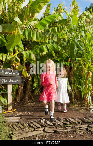 Quattro 4 anno ragazza & 2 due anni bambino sorella walking & giocare nel progetto Eden 's al di fuori del giardino esterno. La Cornovaglia. Regno Unito. Foto Stock