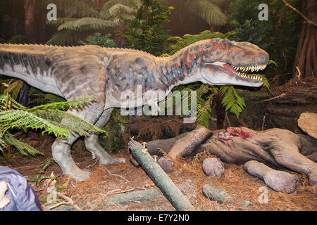 T Rex / Tyrannosaurus rex animatronic mobile modello; il cratere del tiranno re mostra Dinosauri, Eden Project. Cornwall Regno Unito Foto Stock