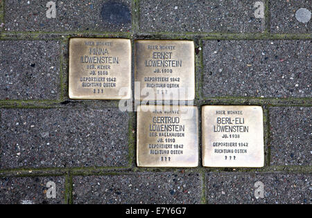 Stolpersteine o scogli, lapidi per commemorare ebrei vittime del nazismo in Hoexter, Renania settentrionale-Vestfalia, Foto Stock