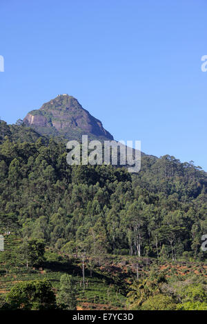 Adam's Peak, un importante luogo di pellegrinaggio per i buddisti e indù, musulmani e cristiani in Sri Lanka di altipiani centrali Foto Stock