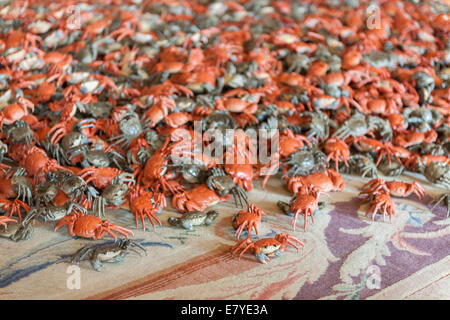 Woodstock, Oxfordshire, Regno Unito, venerdì 26 settembre 2014 Preview di Ai Weiwei presso il Palazzo di Blenheim, Blenheim Art Foundation la mostra inaugurale, apertura al pubblico il 1 ottobre 2014 egli Xie granchi di porcellana © Nikreates/Alamy Foto Stock