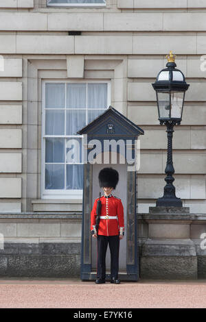 Guardie del palazzo fuori Buckingham Palace London Inghilterra England Foto Stock