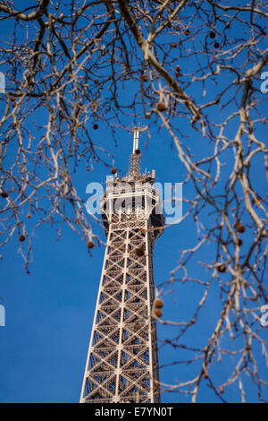 Vista della Torre Eiffel a Parigi sugli Champs de Mars contro un cielo blu, uno dei più visitati e i punti di riferimento iconici in Fran Foto Stock