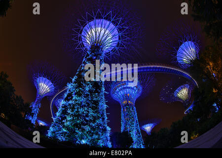 Le spie blu del futuristico Supertrees nel Supertree Grove presso i giardini dalla Baia di Singapore, Repubblica di Singapore Foto Stock