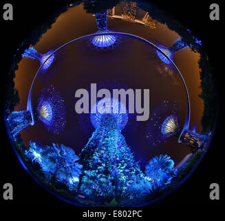 Le spie blu del futuristico Supertrees nel Supertree Grove presso i giardini dalla Baia di Singapore, Repubblica di Singapore Foto Stock