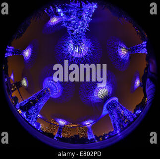 Le spie blu del futuristico Supertrees nel Supertree Grove presso i giardini dalla Baia di Singapore, Repubblica di Singapore Foto Stock