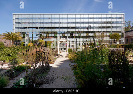 Giardino invernale nell'Hortus Botanicus visto dal giardino Clusius in Leiden, Paesi Bassi Foto Stock