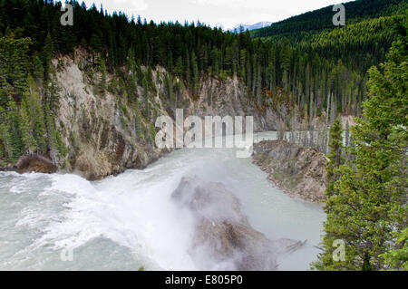 Wapta Falls, Parco Nazionale di Yoho, British Columbia, Canada Foto Stock