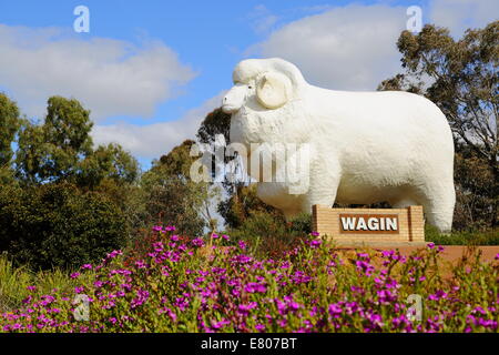 Il gigante di Ram a Wagin nel cuore della grande regione meridionale del Western Australia. Foto Stock