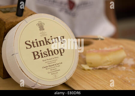 Vescovo puzzolente in contenitore con scheda di formaggio Foto Stock