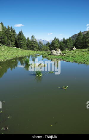 Vista dal Passo del Vivione, Italia Foto Stock