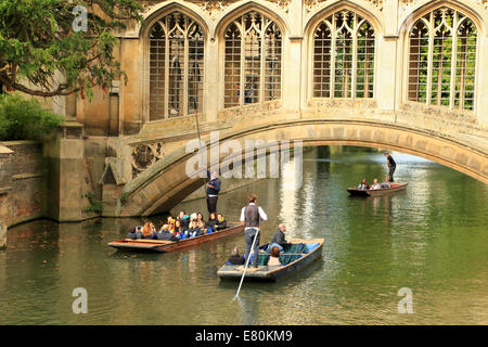 Punting sotto il Ponte dei Sospiri, St John's College di Cambridge, UK. Foto Stock