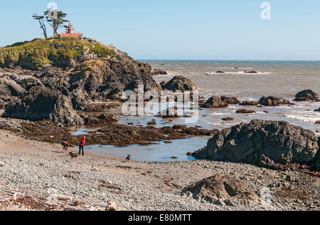 California, Crescent City, Batteria Point Lighthouse costruito 1856, giovane con due cani giocando sulla spiaggia Foto Stock