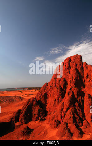 Rosso suoli pindan a James Price Point, Dampier Peninsula, Kimberley, Australia occidentale Foto Stock