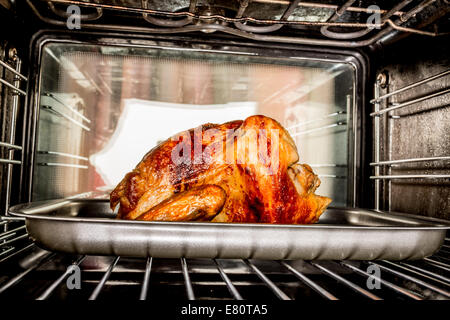 Forno alogeno con cottura del pollo Foto stock - Alamy