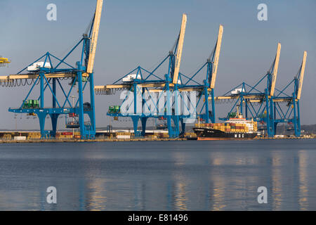 Francia, Alta Normandia, Seine-Maritime, la Porta Sud, porto di Le Havre Foto Stock