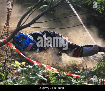 Downhill mountain biker in crash Foto Stock