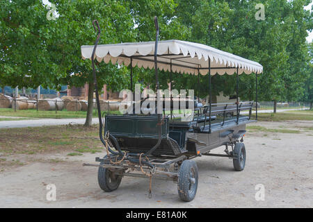 Non disegnate cavallo nero carrello per guidare i turisti in una casa colonica Toscana in Italia Foto Stock