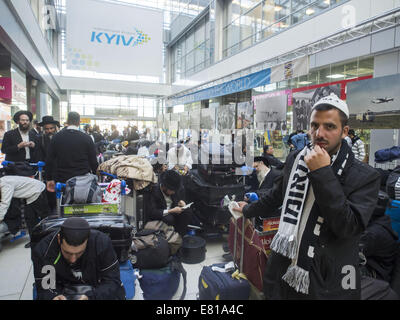 Hasid, che hanno celebrato a Uman Rosh Hashanah. 28 Sep, 2014. Nuovo anno 5775, partono dall'aeroporto Zhulyany Israele. Uman è la tomba del rabbino tzaddik Nachman di Breslov (1772-1810) - il fondatore di Bratslav Hasidism. La sua tomba - uno dei più venerabili santuari della hasidim, il luogo della messa annuale pellegrinaggio. Rosh Hashanah -'anno ebraico, che viene festeggiato per due giorni sulla luna nuova dell'autunno mese di Tishrei nel calendario ebraico. Da questo giorno inizia un nuovo giorno dell'anno ebraico. © Igor Golovniov/ZUMA filo/Alamy Live News Foto Stock