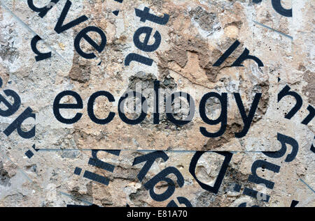 Ecologia word cloud Foto Stock