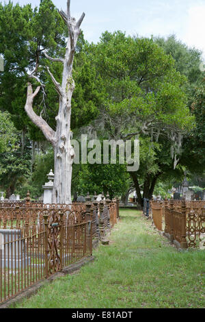 Riga della famiglia tenute nel cimitero di Magnolia, delimitato da recinzioni in ferro. Foto Stock