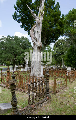 Tomba di famiglia tenute nel cimitero di Magnolia, Charleston, Carolina del Sud Foto Stock