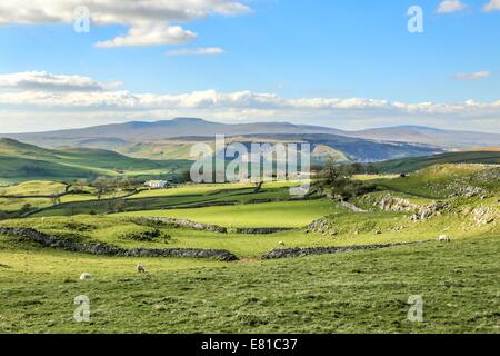 Splendide Yorkshire Dales paesaggio stupefacente scenario Inghilterra turismo uk verdi colline Foto Stock
