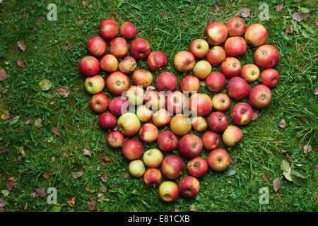 Dolce Cuore a base di mele Foto Stock