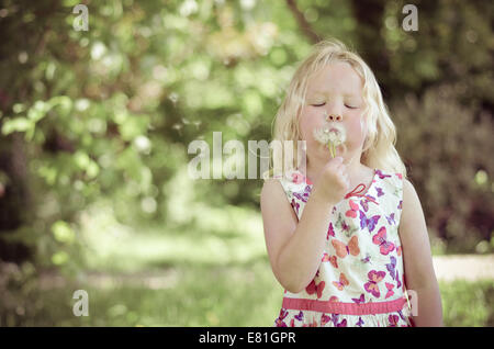 Bambina di cinque anni che soffia il semi da un dente di leone in estate Foto Stock