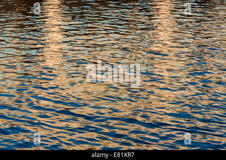 La riflessione nel Nuovo Danubio Donau City, Vienna, Stato di Vienna, Austria Foto Stock