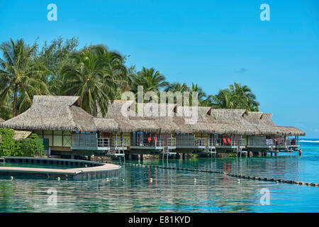 Bungalow Overwater, Moorea, Polinesia Francese Foto Stock