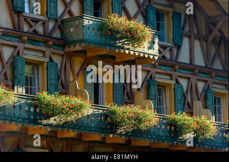 Il balcone di ogni camera, fioriere di gerani (Pelargonium sp.), Schlosshotel Linderhof, Schloss Linderhof Palace, Alta Baviera Foto Stock