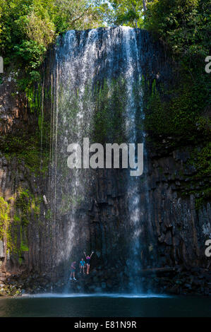 Millaa Millaa Falls, Atherton altipiano, Queensland, Australia Foto Stock