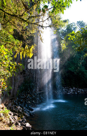 Millaa Millaa Falls, Atherton altipiano, Queensland, Australia Foto Stock