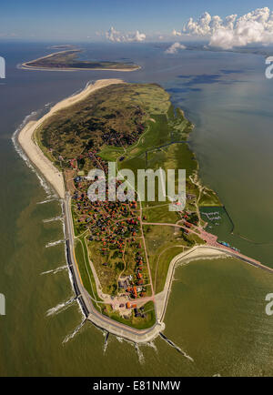 Vista aerea, pennelli protezione contro il land di essere lavato via, il Wadden Sea, Baltrum, isola nel mare del Nord Foto Stock