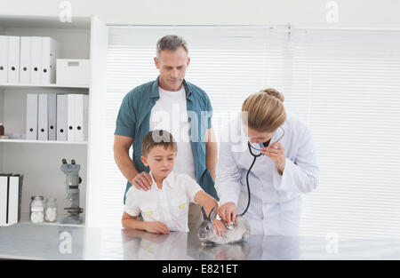 Vet dando un coniglio un check up Foto Stock