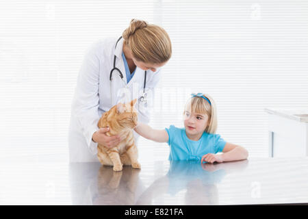 Vet tenendo un gatto Foto Stock