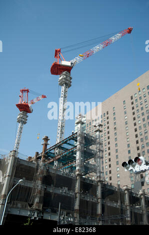 Due gru che sovrasta una costruzione giapponese sito in Tokyo, Giappone. Foto Stock