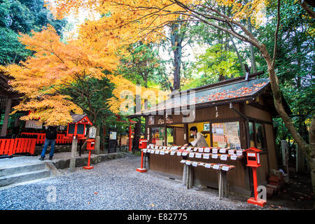 Kyoto, Giappone - 30 Giugno 2014: rosso acero in un giardino giapponese Foto Stock