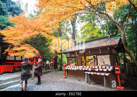 Kyoto, Giappone - 30 Giugno 2014: rosso acero in un giardino giapponese Foto Stock