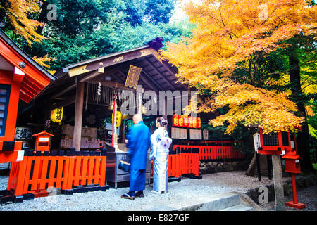 Kyoto, Giappone - 30 Giugno 2014: rosso acero in un giardino giapponese Foto Stock